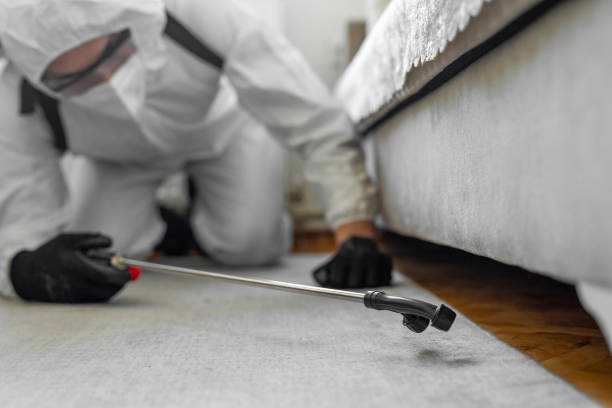 Professional Pest Control technician working in Milwaukee County County, WI